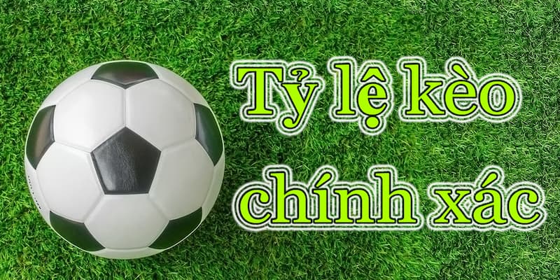 Tỷ lệ kèo 7M cung cấp những loại hình nào? Tỷ lệ kèo 7M cung cấp những loại hình nào?